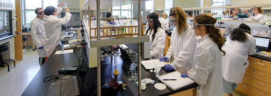Students in chemistry lab